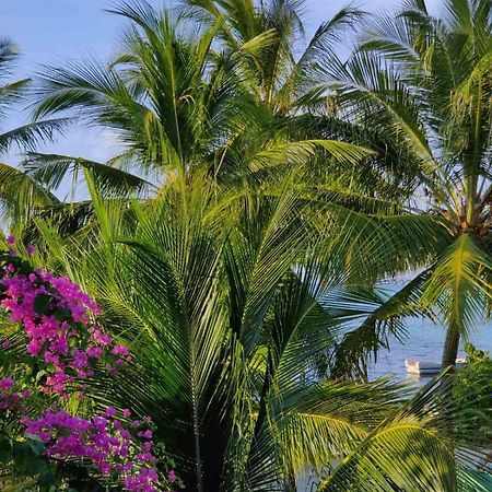 Medhufaru Inn Guraidhoo (Kaafu Atoll) Dış mekan fotoğraf